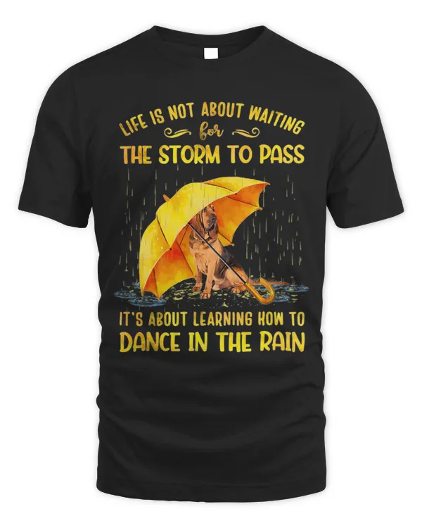 It s About Learning How To Dance In The Rain Bloodhound