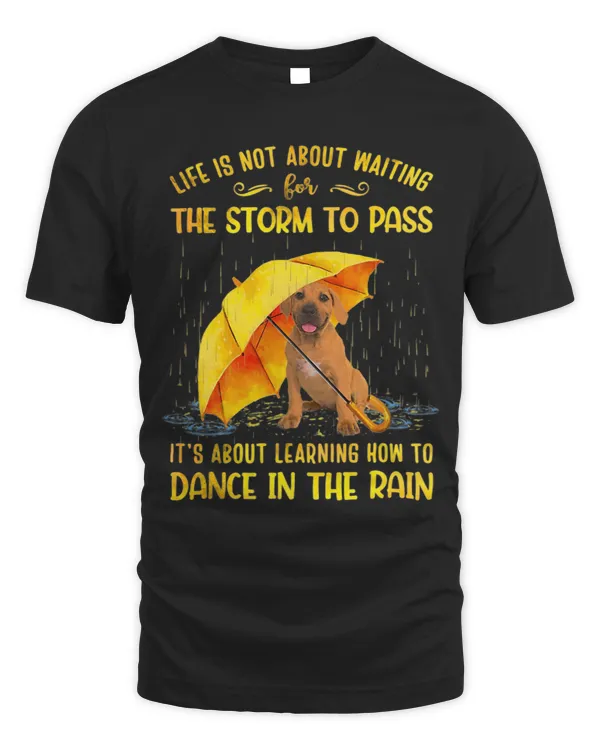It s About Learning How To Dance In The Rain Boerboel