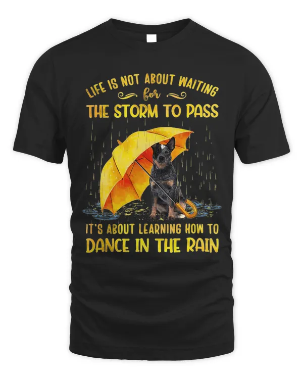 It s About Learning How To Dance In The Rain Heeler