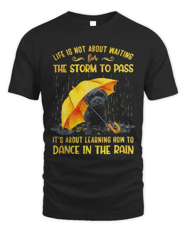 It s About Learning How To Dance In The Rain Schnoodle