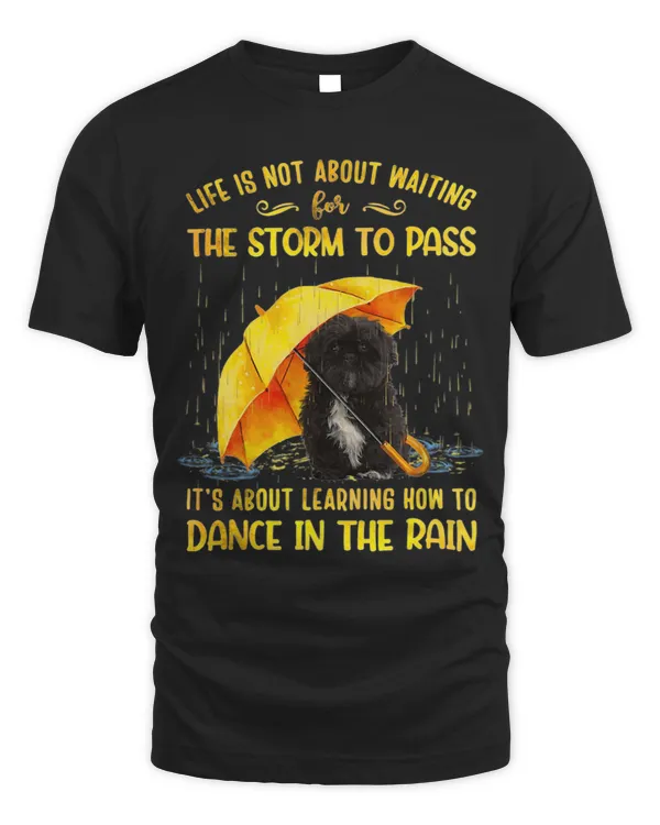 It s About Learning How To Dance In The Rain Shih Tzu