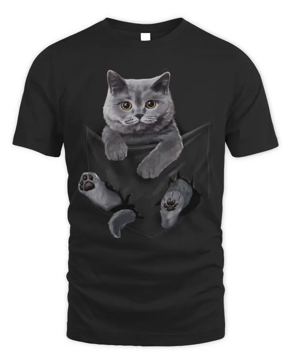 cute british shorthair cat pocket