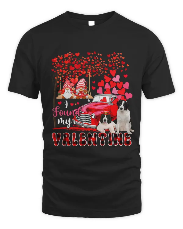 I Found Valentine Two Cute Landseers Couple Gnomes Pickup