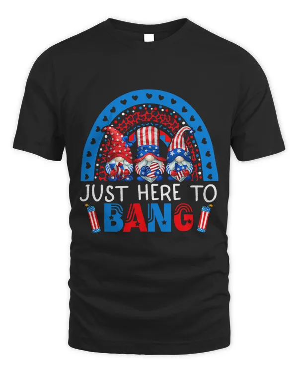 Just Here To Bang 4th Of July Tee Fireworks Director America 1