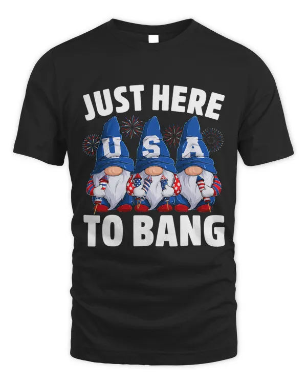 Just Here to Bang 4th Of July Cute Gnomes Holding Fireworks