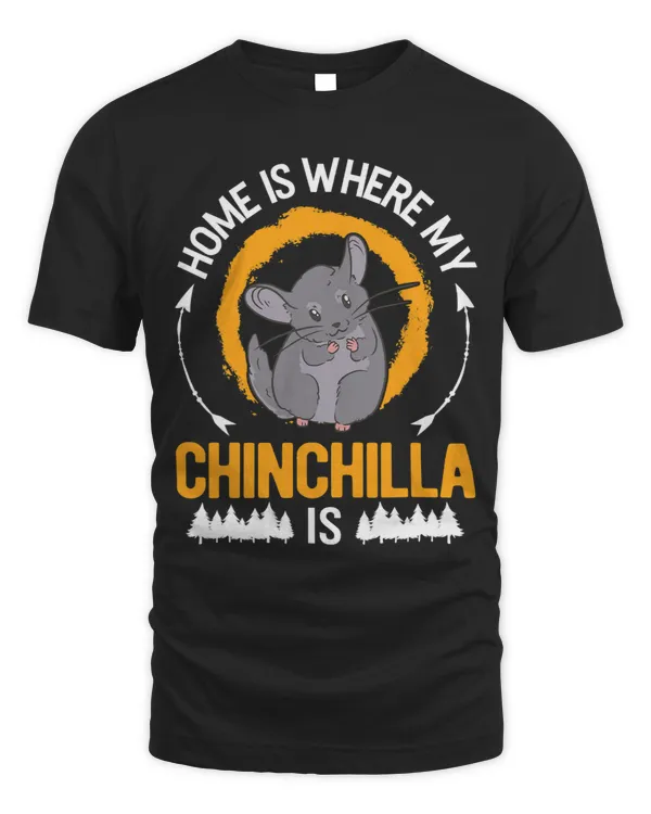 Home is where my Chinchilla is Chinchilla 3
