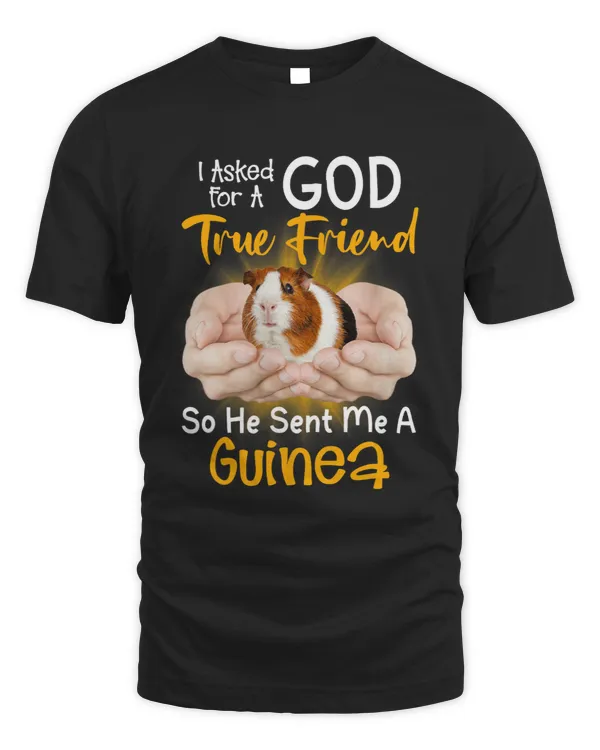 I Asked God For A True Friend So He Sent Me A Guinea Pig