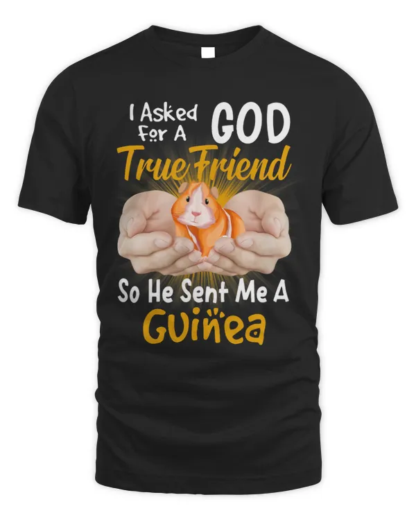I asked God for a true friend so he sent me a guinea
