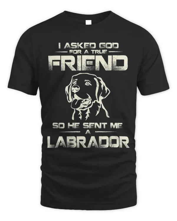 I Asked God For A True Friend So He Sent Me A Labrador