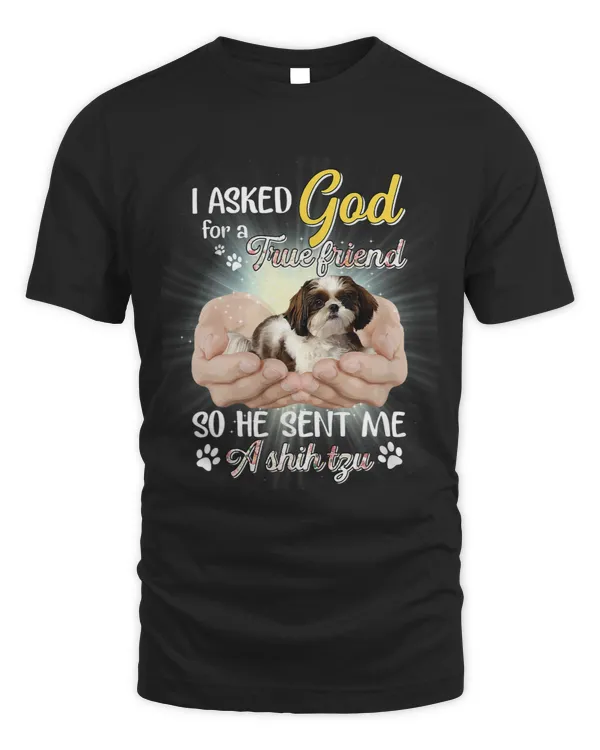 I Asked God For A True Friend So He Sent Me A Shih Tzu