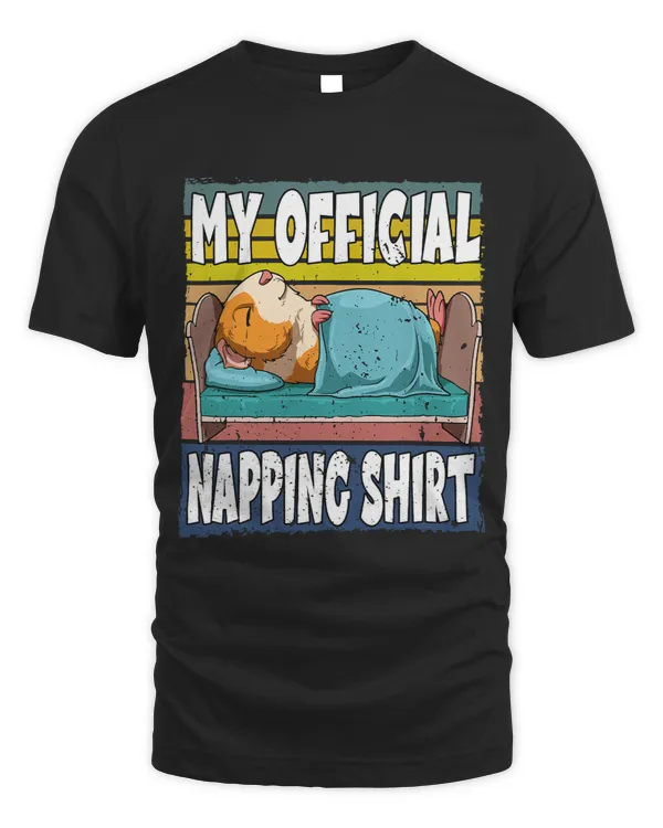 My Official Napping Motive
