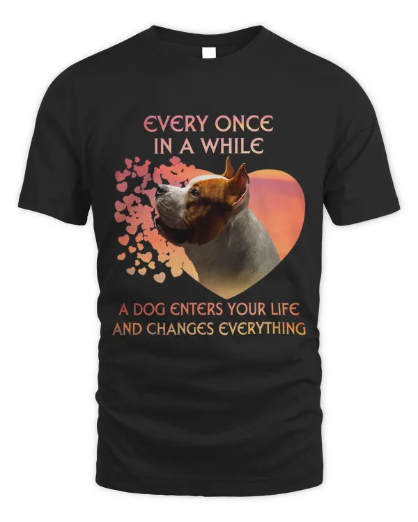 Every Once In A While A Staffordshire Bull Terrier Enters 3