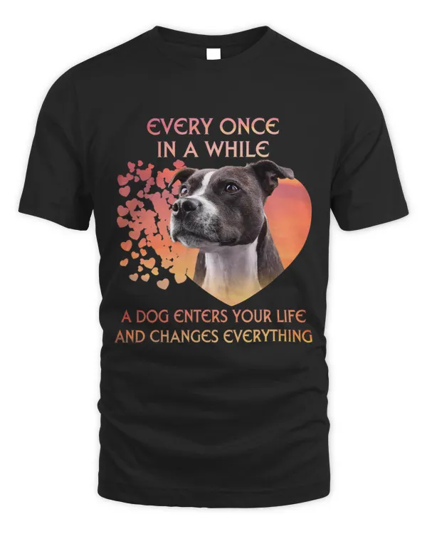 Every Once In A While A Staffordshire Bull Terrier Enters