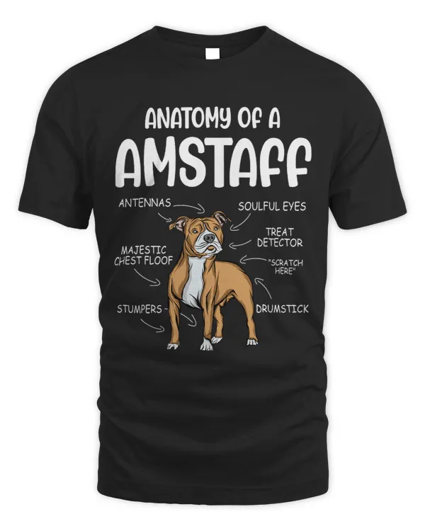 Anatomy of american staffordshire terrier amstaff 3