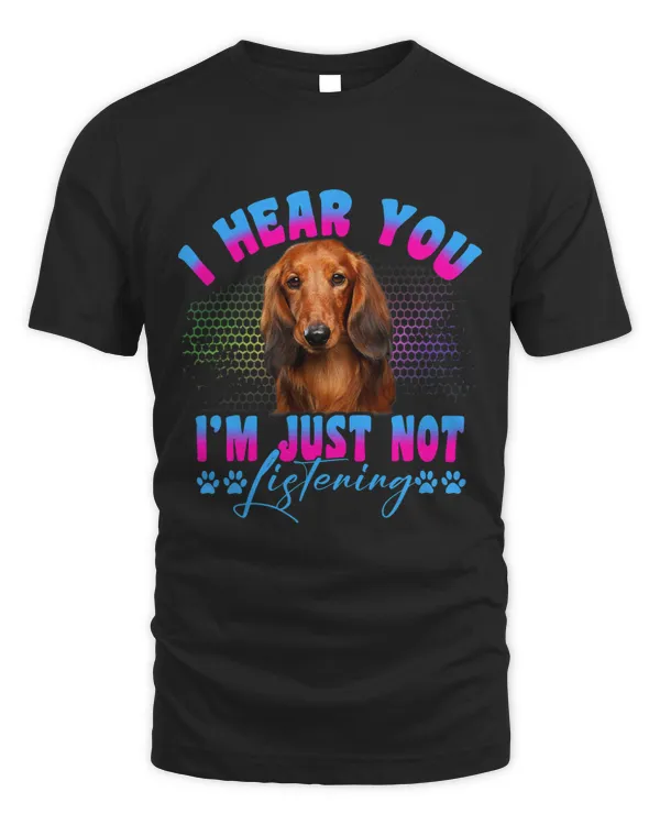 Long Haired Dachshunds I hear you not listening 1