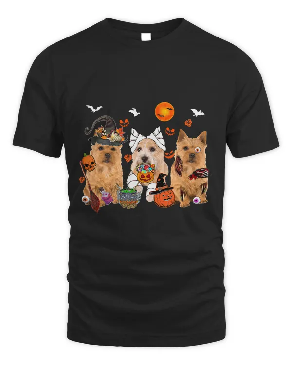 Three Norwich Terriers Witch Scary Mummy Halloween Zombie