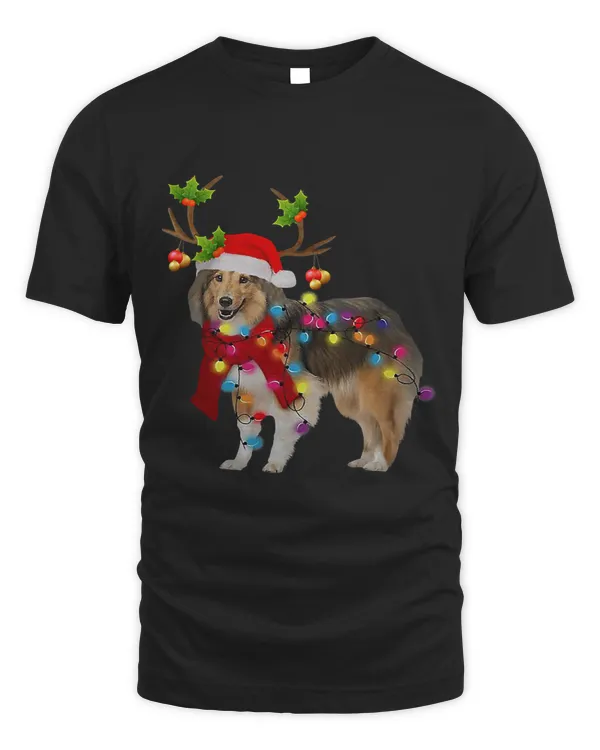 Reindeer Dog Christmas Light Santa Hat Xmas 4