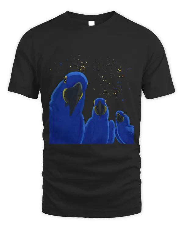 Funny Parrots Birds Hyacinth Macaw
