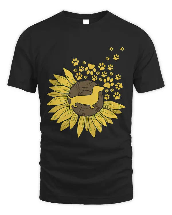 Sunflower with paws and dachshund