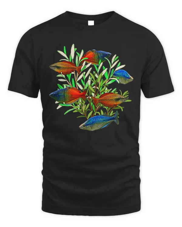 Aquarium Rainbow Fish Bosemani Rainbowfish Fish Tank Lovers