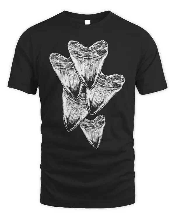 Shark enthusiasts Megalodon fossil tooth