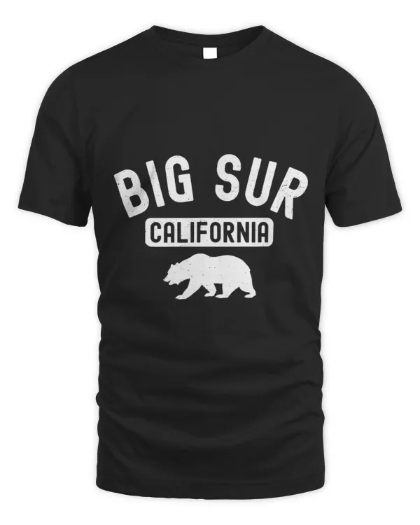 Big Sur California Beach Central Coast Forest Camping Hiking