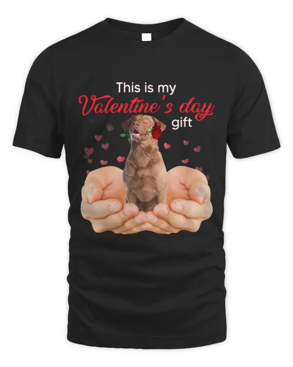 Chesapeake Bay Retriever This Is My Valentines Day Pajama