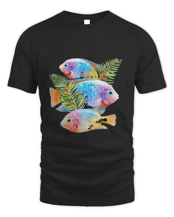 Vieja Cichlids Central American Cichlid Aquarium Fish Tank