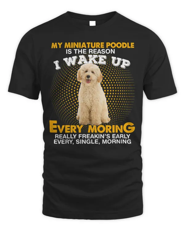 Poodles My MINIATURE POODLE Is Reason I Wake Up Every Morning 265 Poodle dog