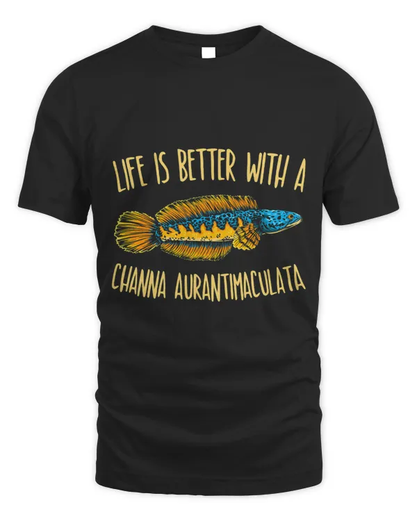 Snakehead Channa Ornamental Fish Tank Aquarium Aquarist
