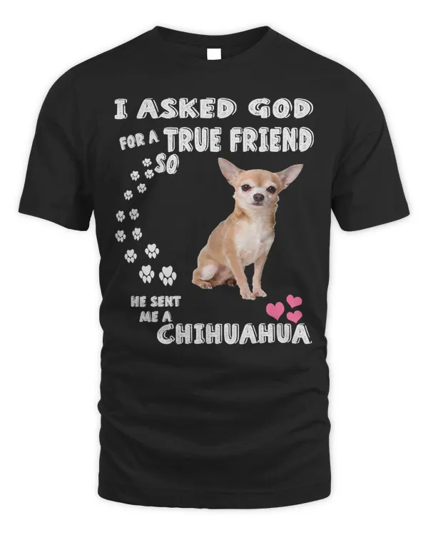 Chihuahuas Cute Chihuahuas Dog Lover s Adorable Chihuahua 81 paws Chihuahua Dog
