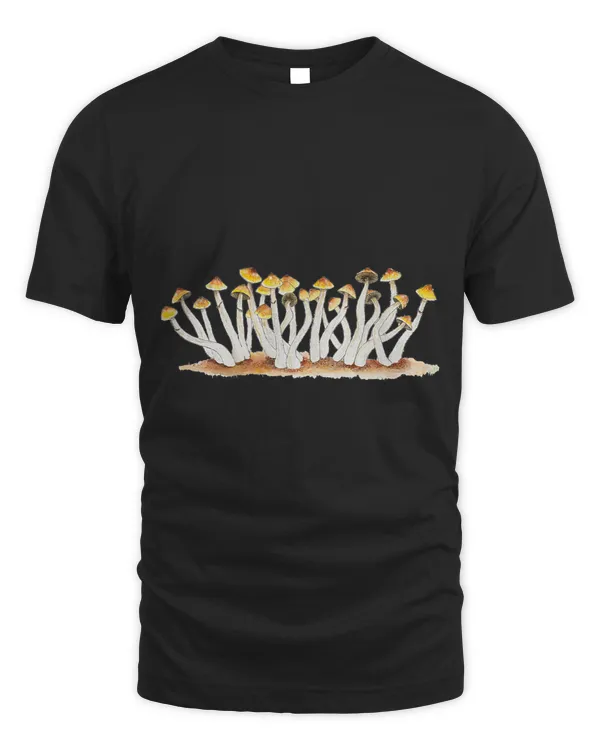 Psilocybe Cubensis Magic Mushrooms Mycology Shrooms Fungi