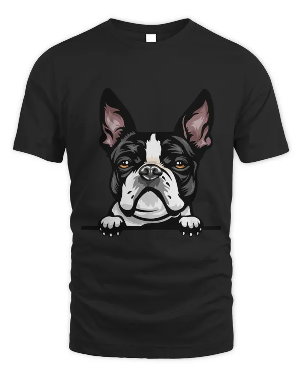 Animal Dog Boston Terrier 8ikkkmffe Color Peeking
