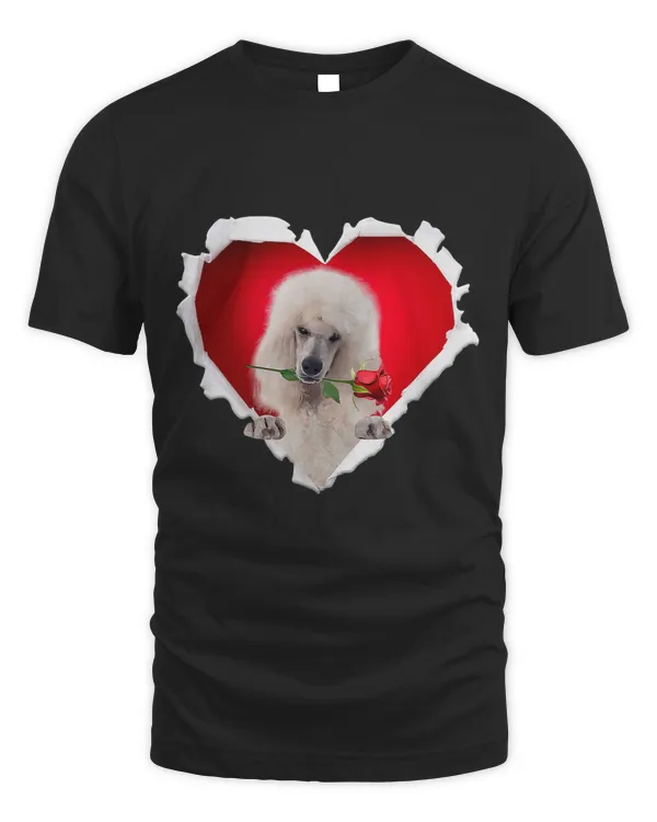 Poodles Standard Poodle Dog Rose Heart Valentines Day Couple Men Poodle dog