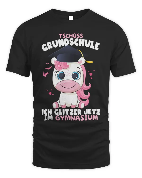 Gymnasium Umschulung 5. klasse