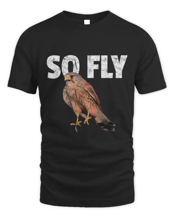 Falcon Kestrel Birding TShirt Vintage Distressed