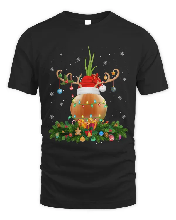 Xmas Holiday Reindeer Hat Santa Onion Christmas