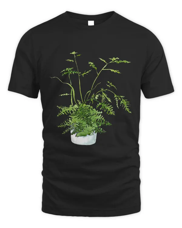 Asparagus Fern House Plant Houseplant Leaf Green Leaves