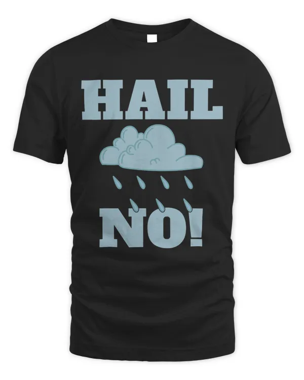 Hail no Weather Chaser Meteorology
