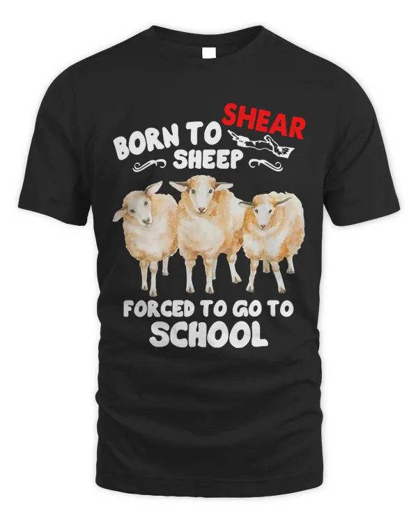 Sheep Lamb Born to shear sheep forced to go to school 137 Ewe Sheeps