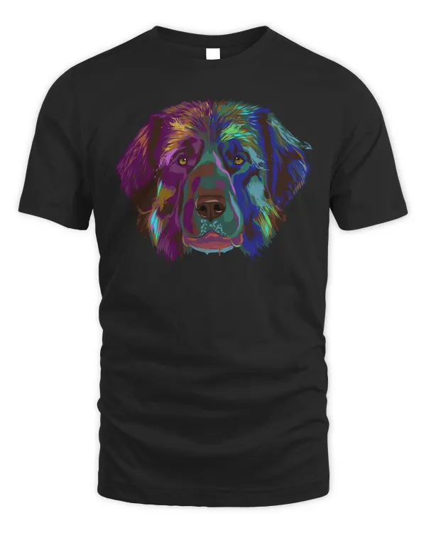 Colourful Dog Leonberger Pullover Hoodie