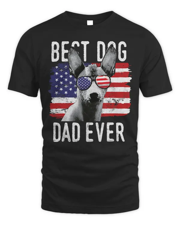 American Flag Best Dog Dad Ever Xoloitzcuintli USA T-Shirt