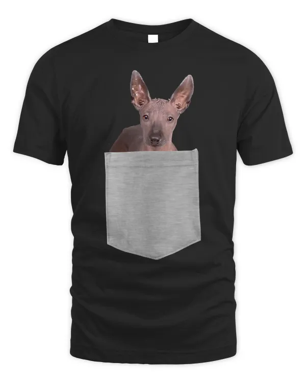 Dog in Your Pocket Xoloitzcuintli Pullover Hoodie