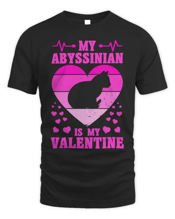 Abyssinian Cat Valentines Day Cat Lover For Men And Women Long Sleeve T-Shirt