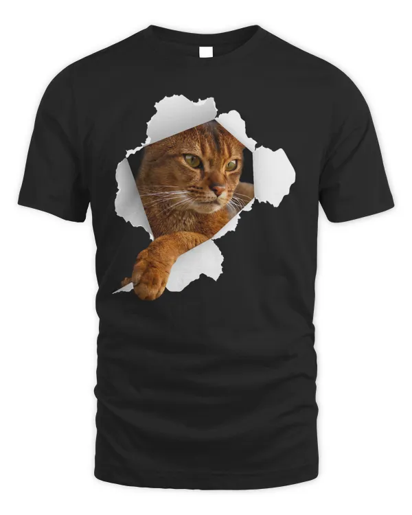 Abyssinian cats Torn Cloth , Kitten Long Sleeve T-Shirt