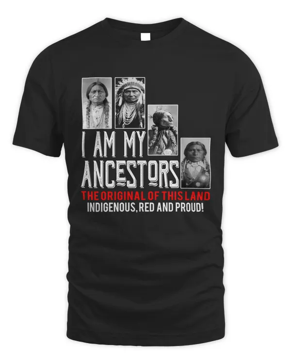 I am my ancestors the original of this land