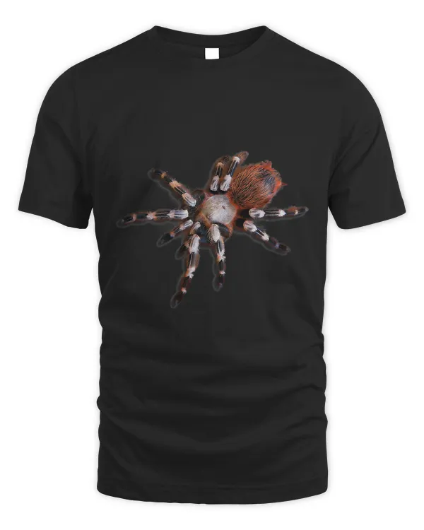 Realistic Tarantula  Bird-Eating-Spider T-Shirt