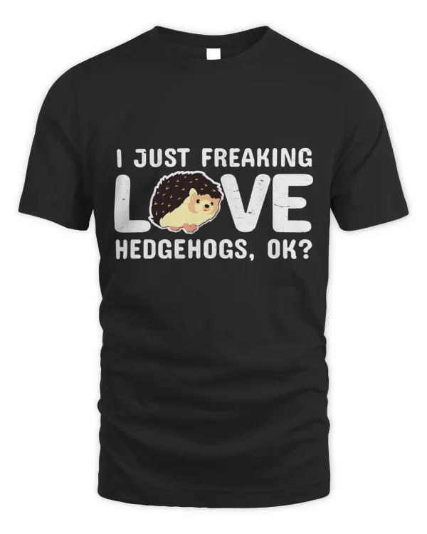 I Love Hedgehog Hoodie Clothes Art Gift Women Men Costume Pullover Hoodie