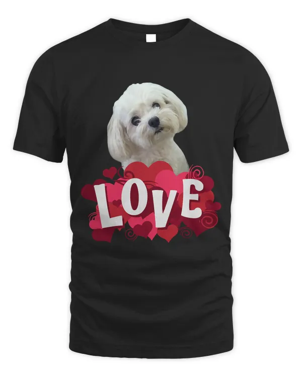 Maltese Dog Lover Puppy Owner Maltipoo Mix Fans Hearts Gift Pullover Hoodie