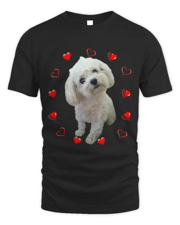 Maltese Dog Lover Puppy Owner Maltipoo Mix Fans Hearts T-Shirt